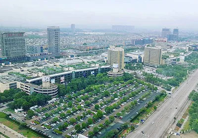 Import & Export Clearance